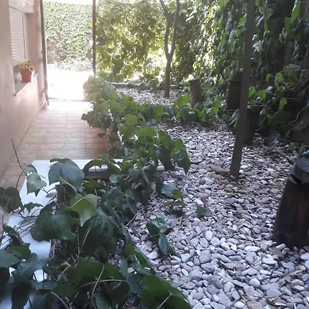 Anna Deluxe Кавала