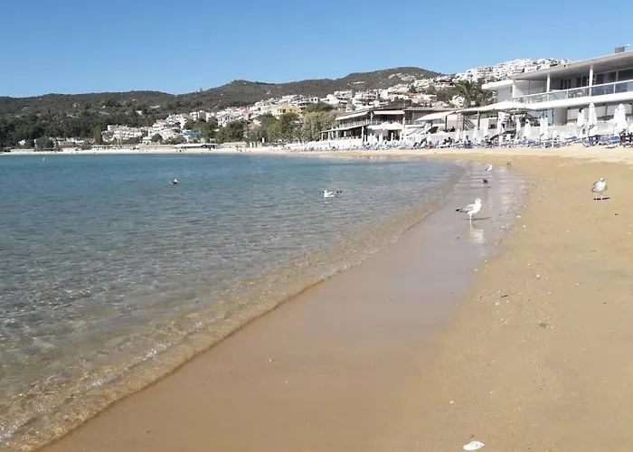 Anna Deluxe 卡瓦拉