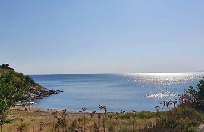 Anna Deluxe 公寓 卡瓦拉